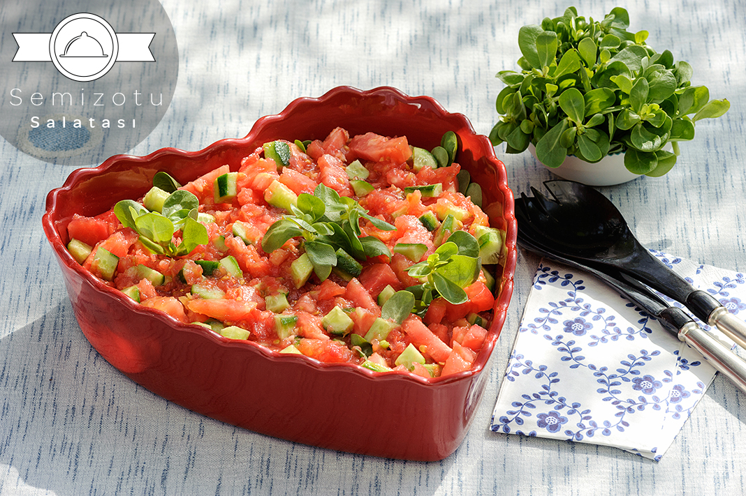 Semizotu Salatası Tarifi