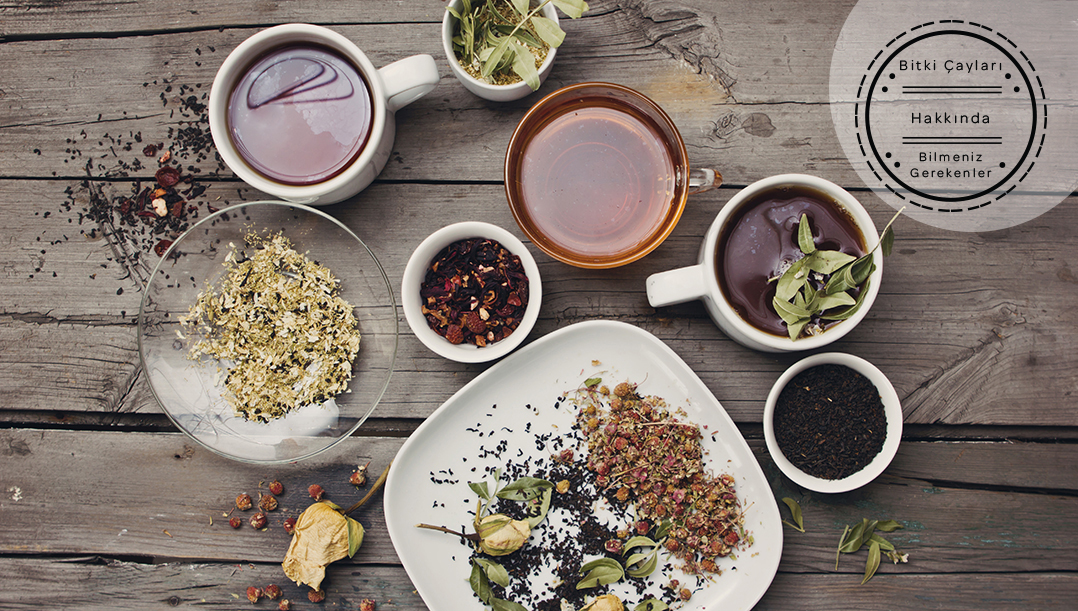 Bitki Çayları Hakkında Bilmeniz Gerekenler